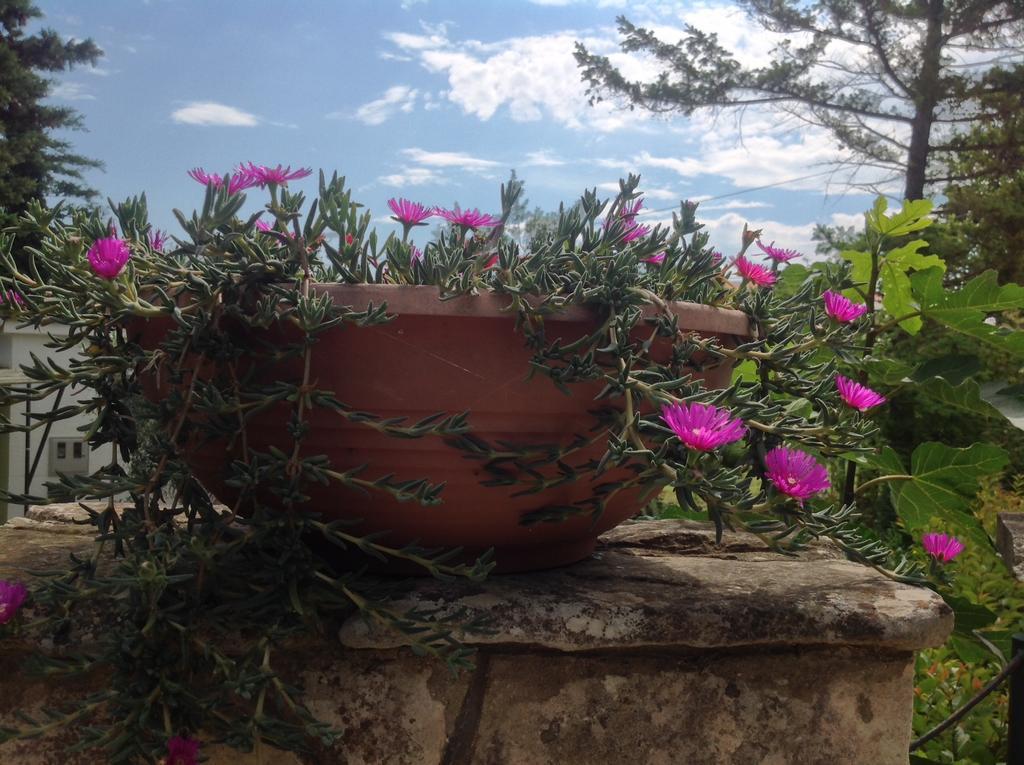Holiday House Altea บานโจเล ห้อง รูปภาพ